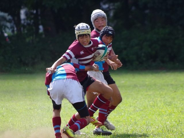 IMGP4182 (640x480) (640x480).jpg