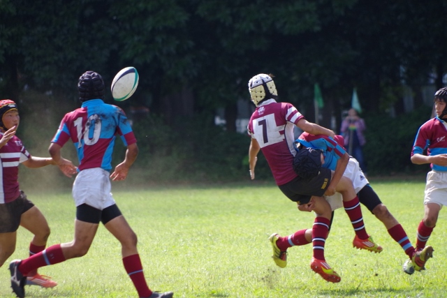 IMGP4187 (640x427).jpg